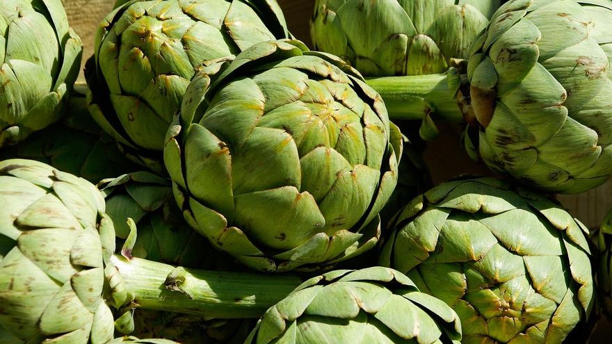 Alcachofas de la Vega Baja como nunca las has probado: seis recetas que te sorprenderán