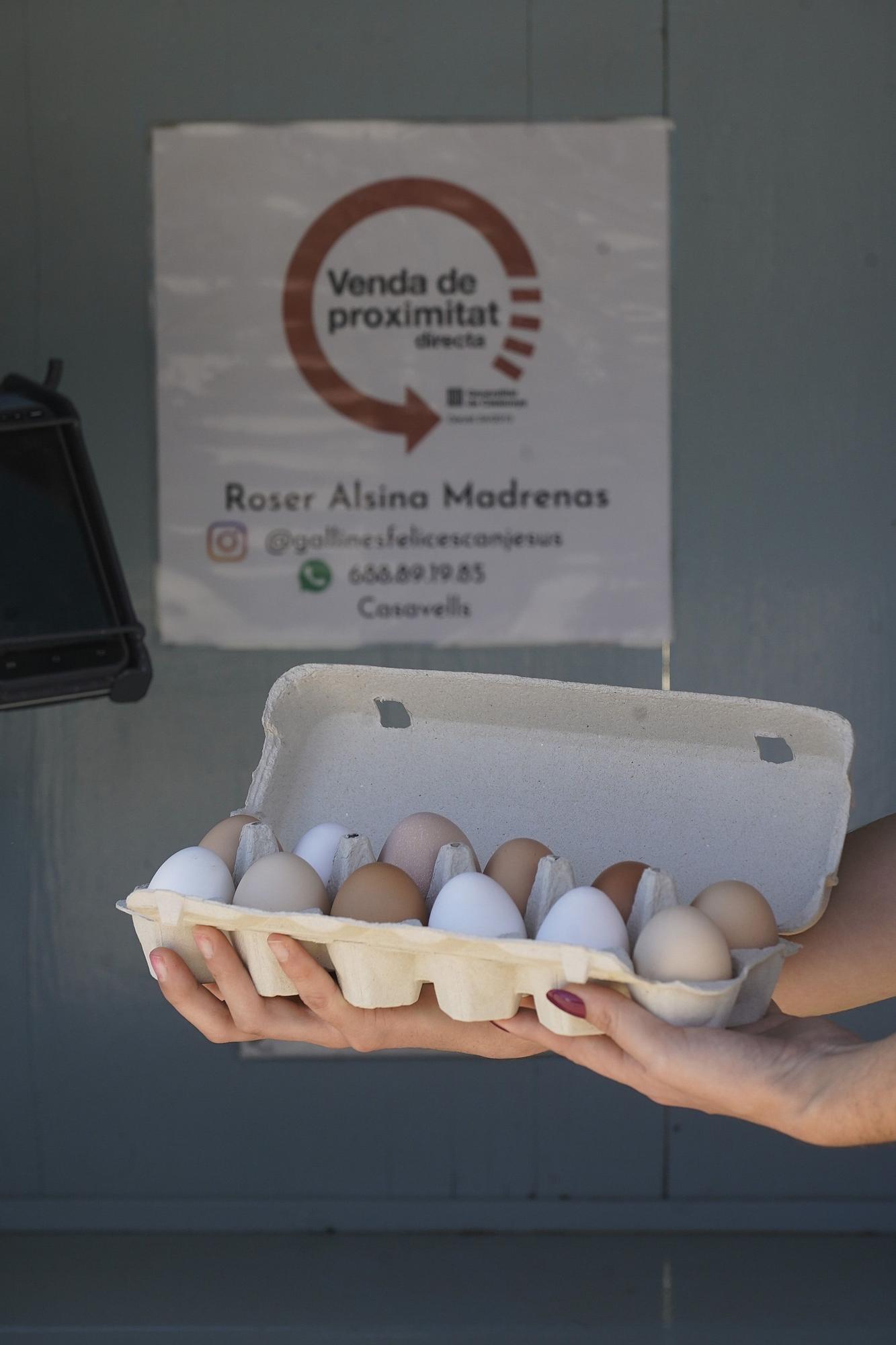 "Gallines Felices" a Casavells