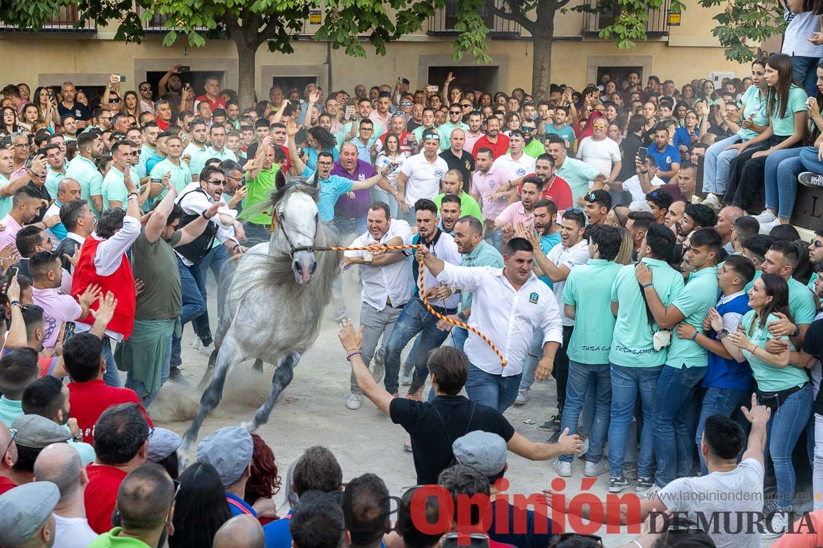 Entrega de premios del concurso morfológico de los Caballos del Vino de Caravaca