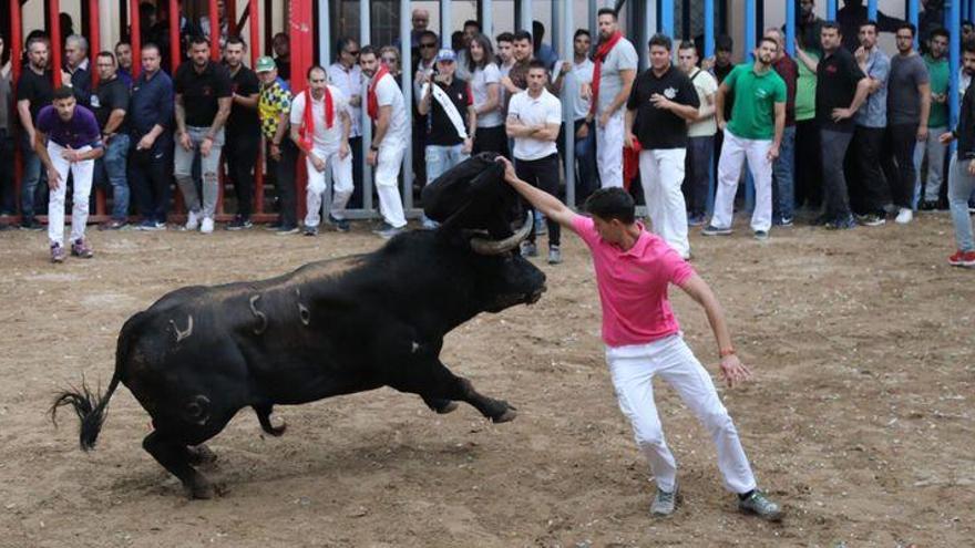 Compromís se abstiene sobre las ayudas de la Diputación a eventos taurinos