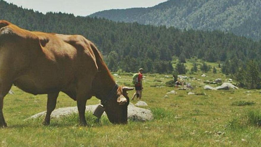 Camí Ramader de Marina que comença a les Bulloses