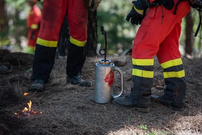 La UME realiza prácticas de prevención de incendios en Gran Canaria