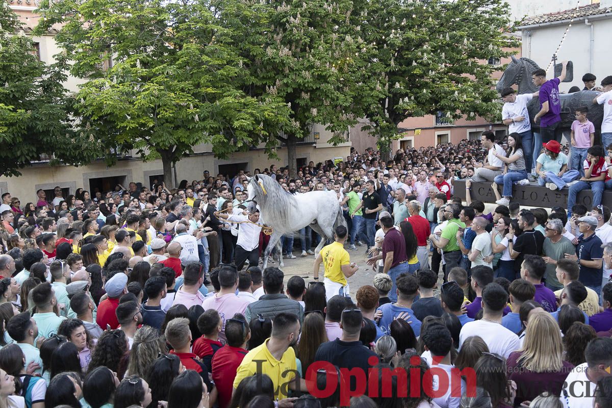 Fiestas de Caravaca | Entrega de premios del concurso morfológico