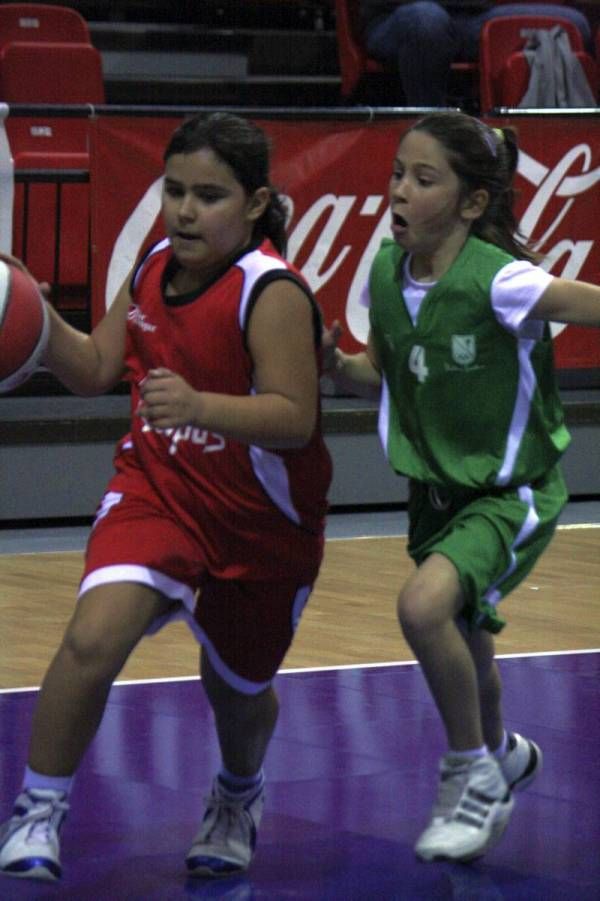 Día del Minibasket