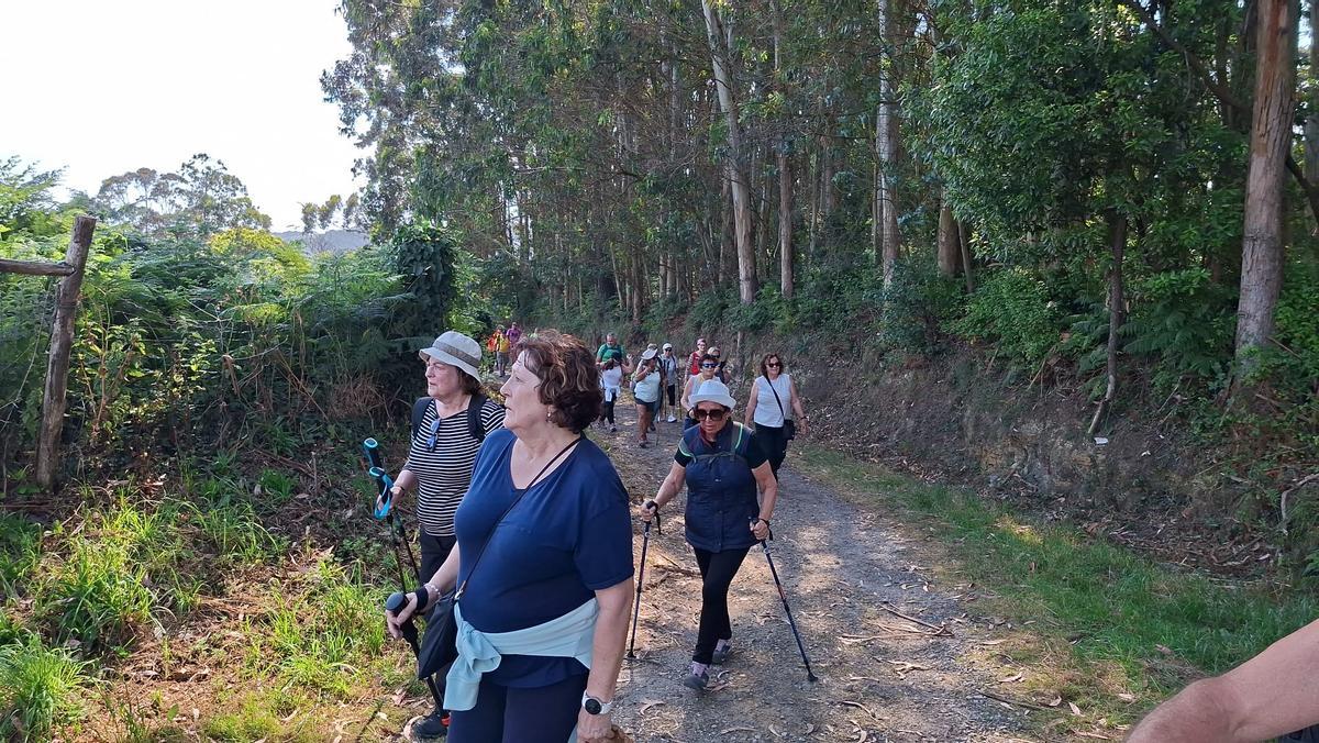 En imágenes: Así fue la XXXIX Travesía Costa Naviega, que reunió a unos 1.700 senderistas