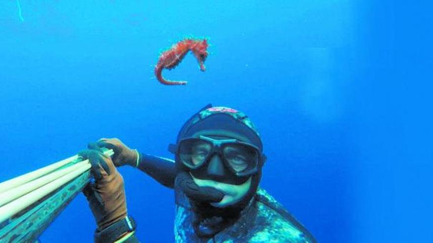 Los beneficios de la pesca submarina en nuestro cerebro -  - Todo  para tus actividades náuticas