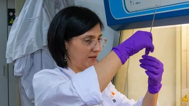 Avances en la inmunoterapia contra el cáncer con materiales 3D