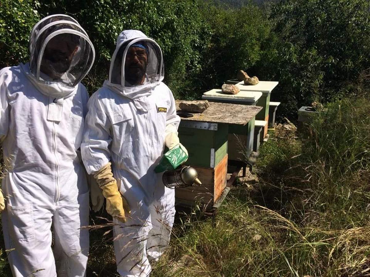 Agricultura en la Serra de Tramuntana: «Necesitamos cooperar para poder sobrevivir»