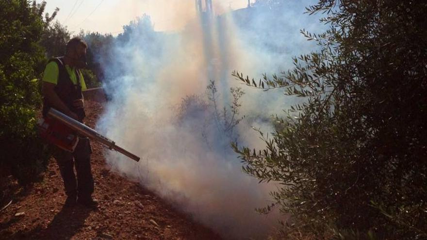 Betxí fumiga contra los mosquitos