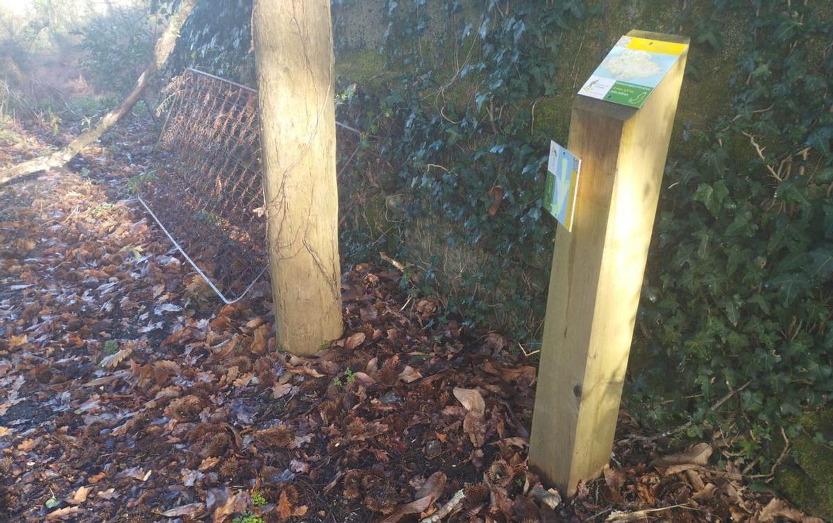 Muchos indicadores fueron vandalizados, desaparecieron o los «engulló» la maleza. |  L.D.