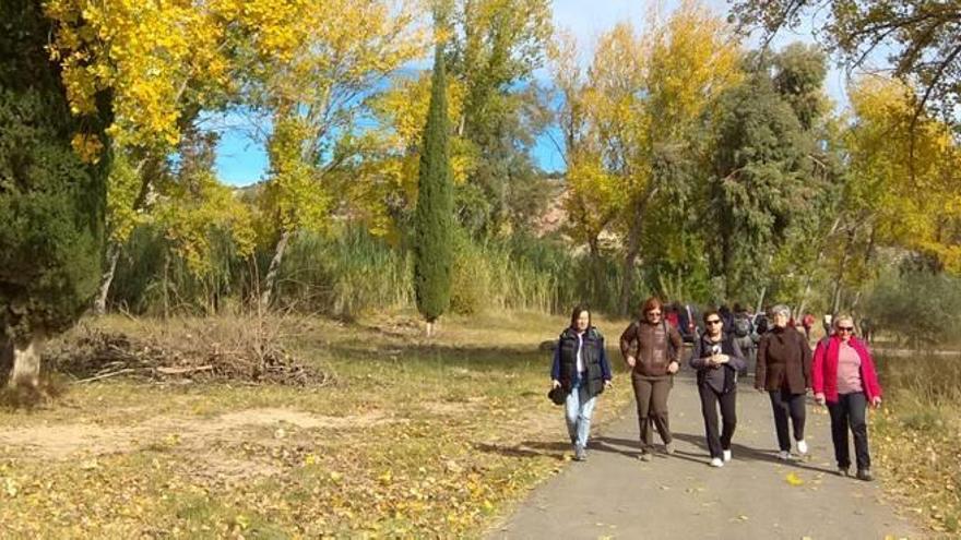 Ruta del agua por el grupo de senderismo municipal