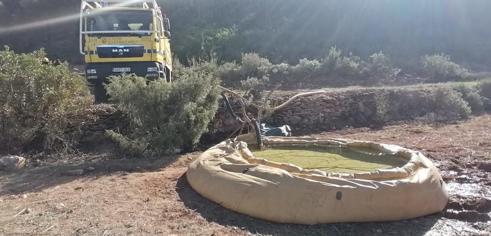 Labores de extinción esta mañana