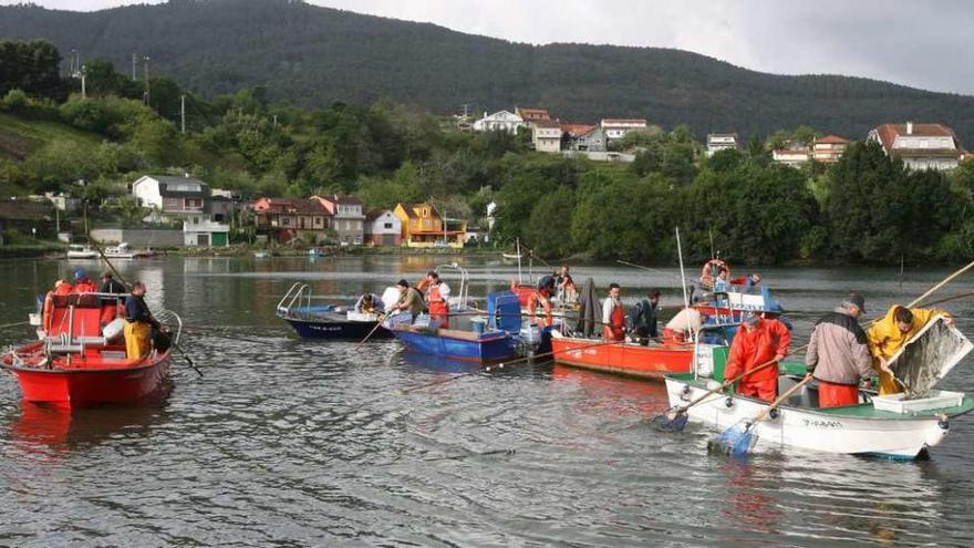 Mariscadores de a flote trabajan en el interior de la ría de Vigo, cerca de Arcade. // FdV