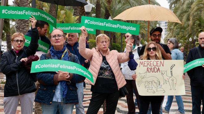 Concentración en Alicante por la Ley de Bienestar Animal y las colonias felinas