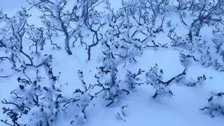 Así han sido las nevadas en las sierras de Aitana y Mariola