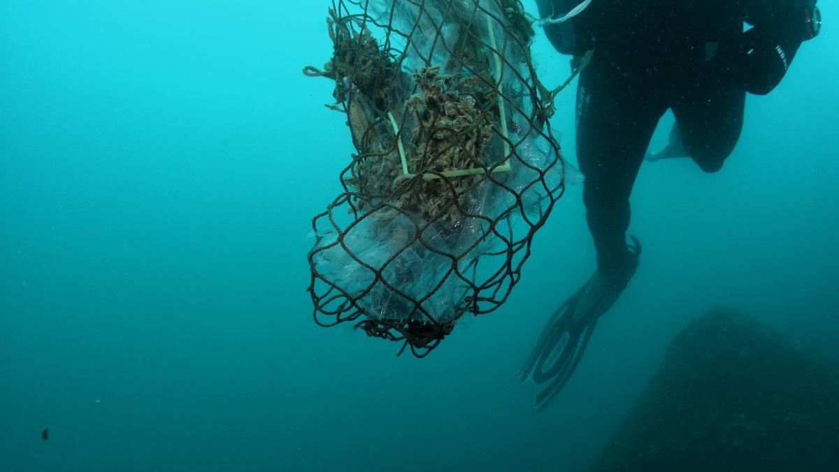 Un bussejador de Oceanide durant una neteja marina.