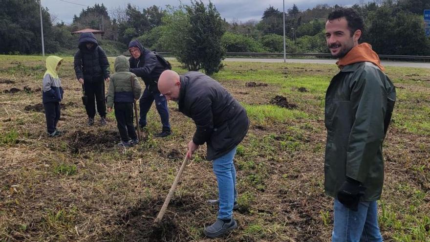 Una nueva zona de bosque en Tremañes