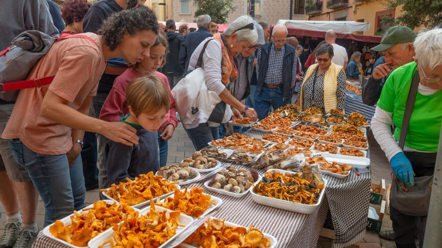 Llagostera celebra la 20a edició de la Fira del Bolet