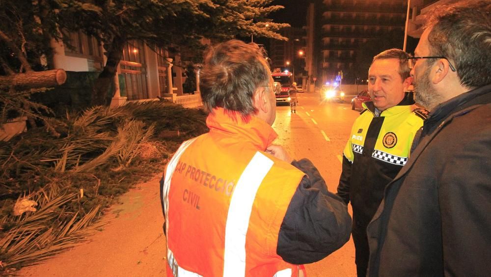 El vent provoca destrosses a les comarques gironines