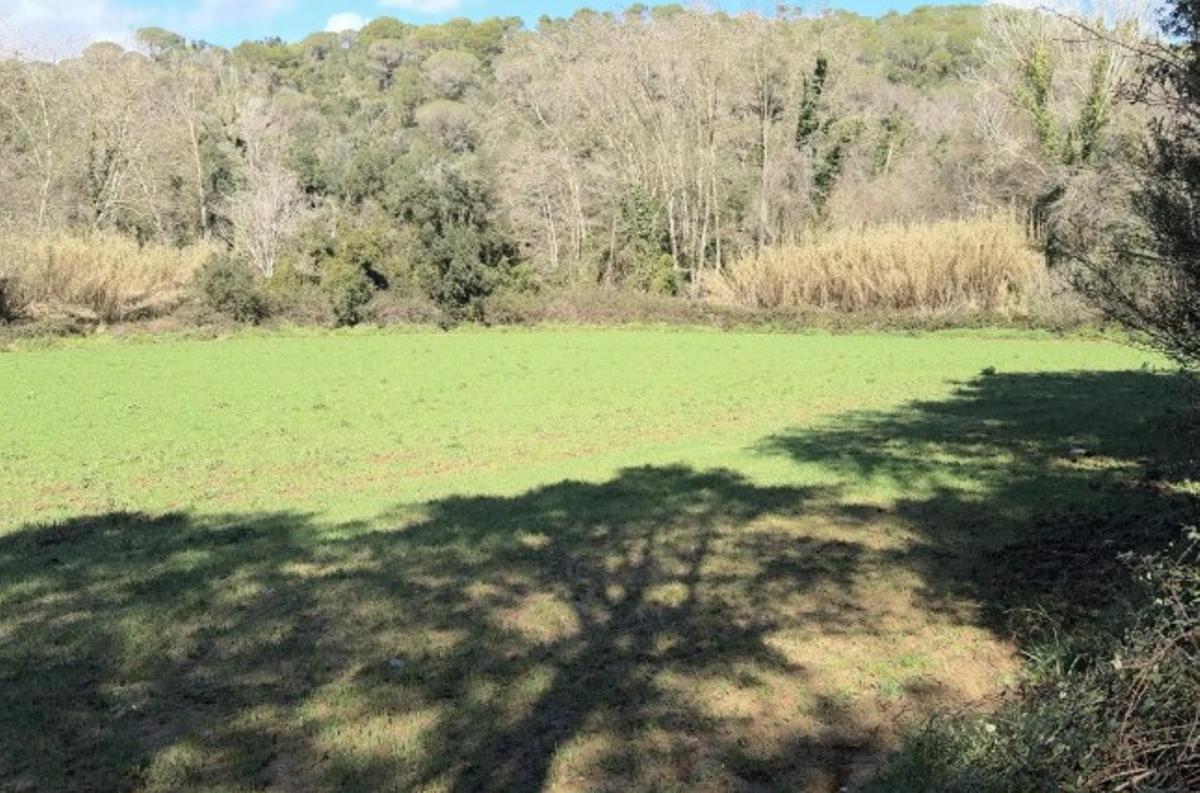 Els terrenys on es projecta construir l'heliport.