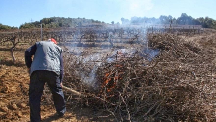 Xàtiva aclara que se podrán realizar quemas agrícolas en el término municipal hasta el 31 de mayo