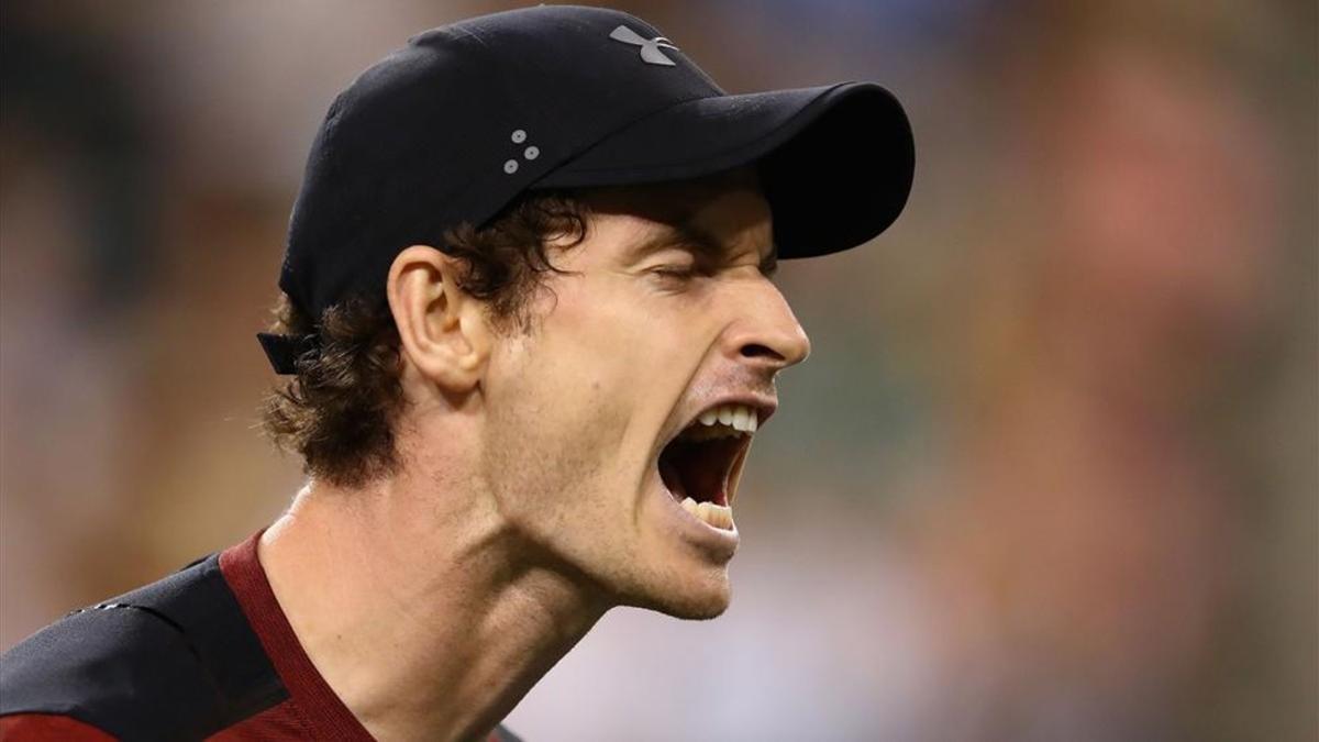 andy murray