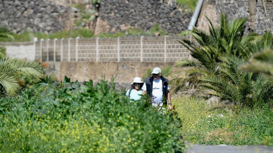 Las zonas verdes, más verdes tras las lluvias