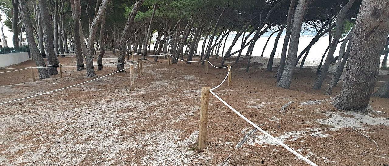 Se han instalado barreras para prohibir el paso a la zona del pinar.