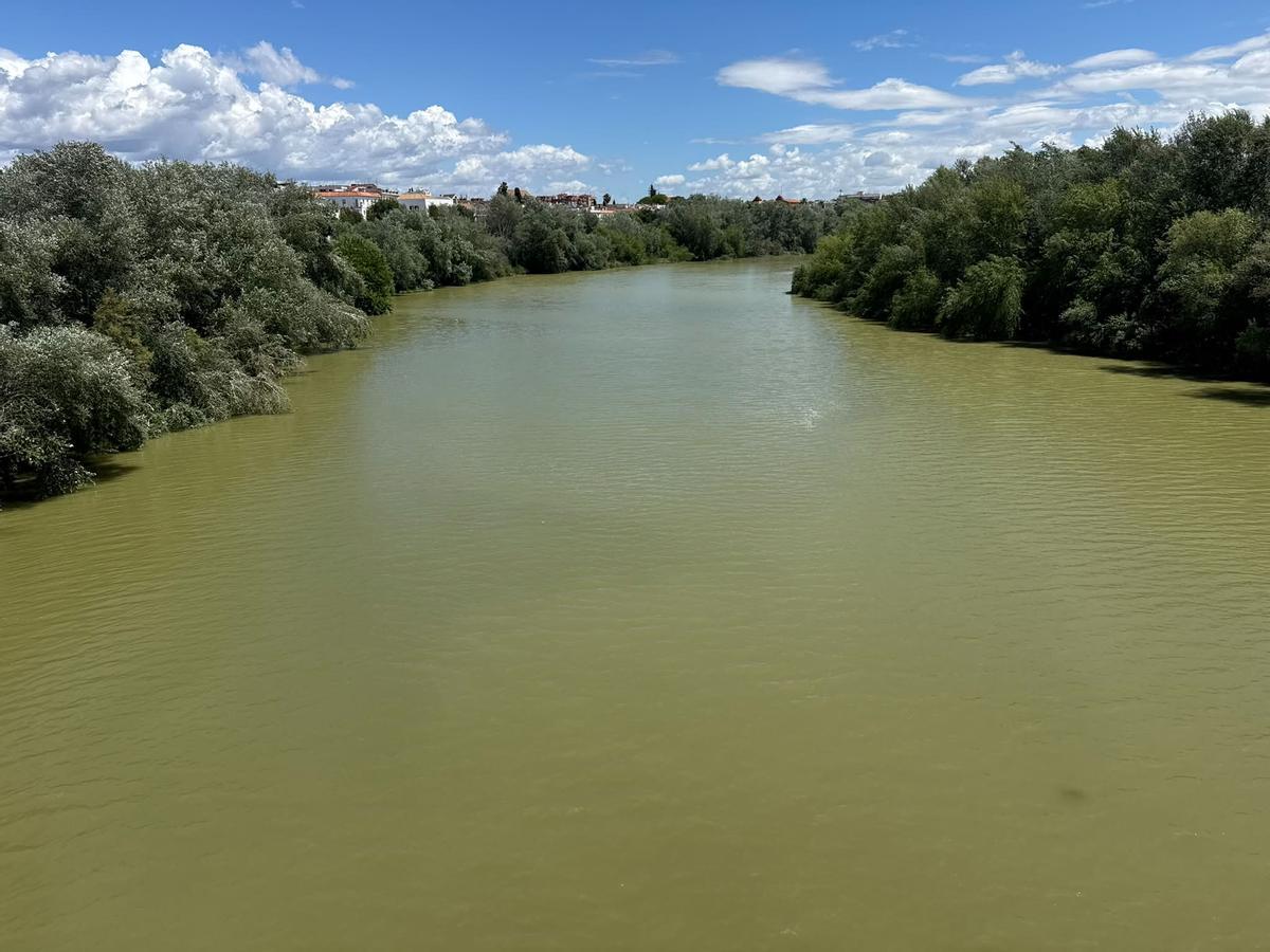 Estado del Guadalquivir a su paso por el Puente de Miraflores.