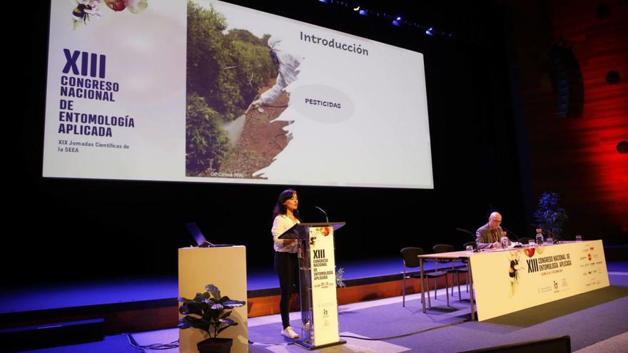 Arranca en Gijón el XIII Congreso Nacional de Entomología