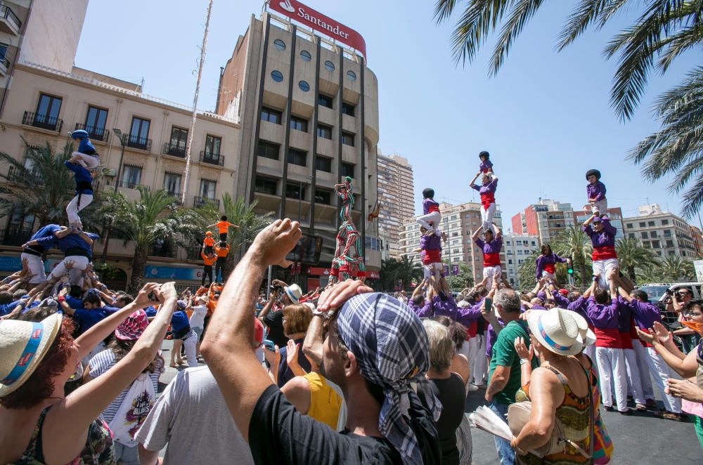 Las torres humanas construídas esta mañana en Alicante han logrado sorprender al público y crear un ambiente tradicional.