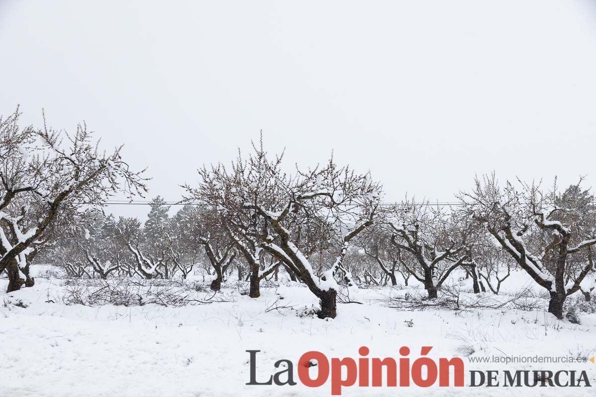 Continúa la nevada en las zonas altas de la comarca del Noroeste