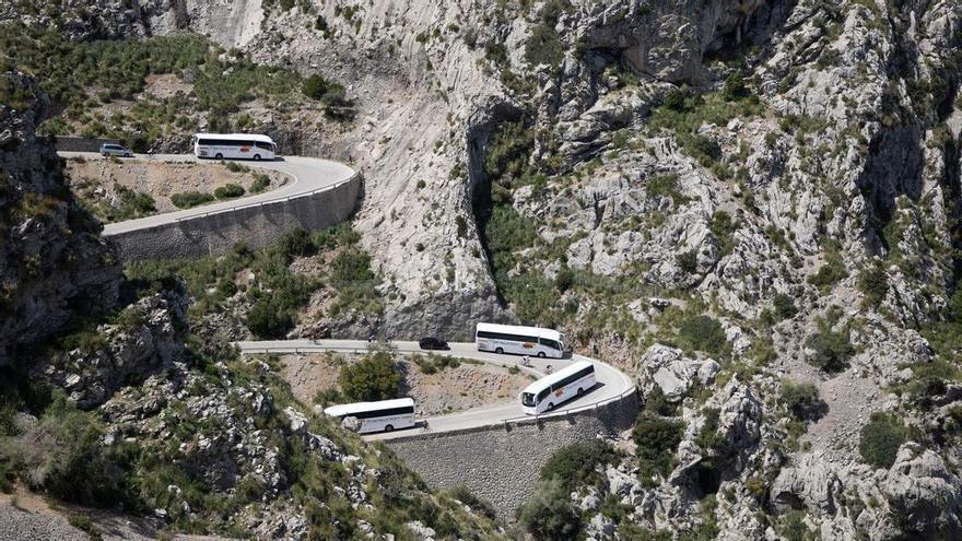 Brauchen eine Stunde länger nach Sa Calobra: Busfahrer klagen über viele Rad-Urlauber auf Mallorca
