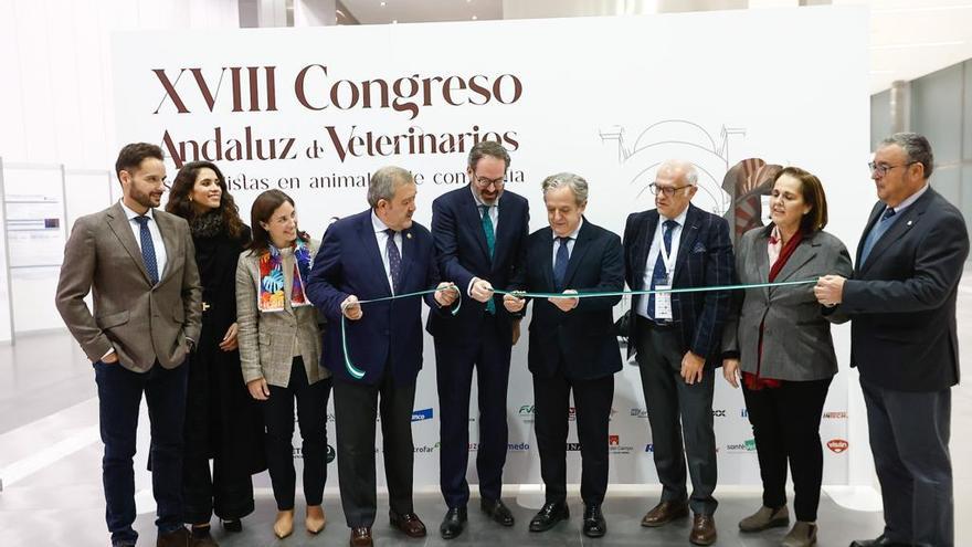 Córdoba supera los mil asistentes al 18º Congreso Andaluz de Veterinarios
