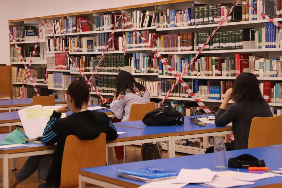 La Biblioteca Provincial reabre en solitario