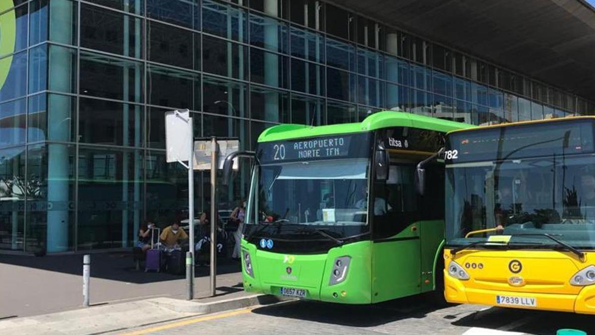 Vehículos de transporte público de las empresas Titsa y Guaguas Municipales.
