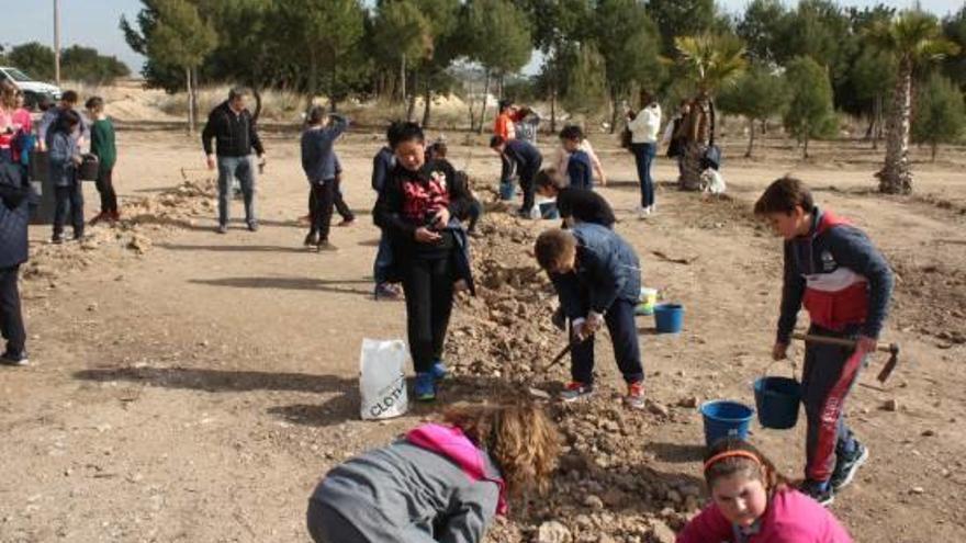 Turís reforesta la Calderona