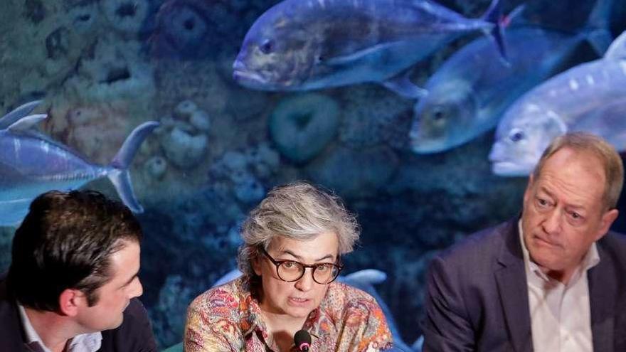 Por la izquierda, Alejandro Beneit, Ana González y Aurelio Martín, en el Acuario de Gijón.