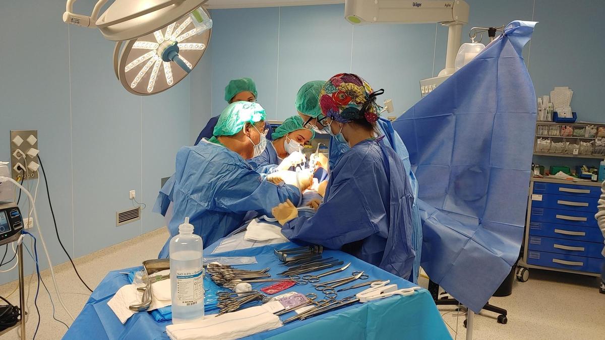 Un grupo de sanitarios durante una cirugía en el Hospital de Alzira.