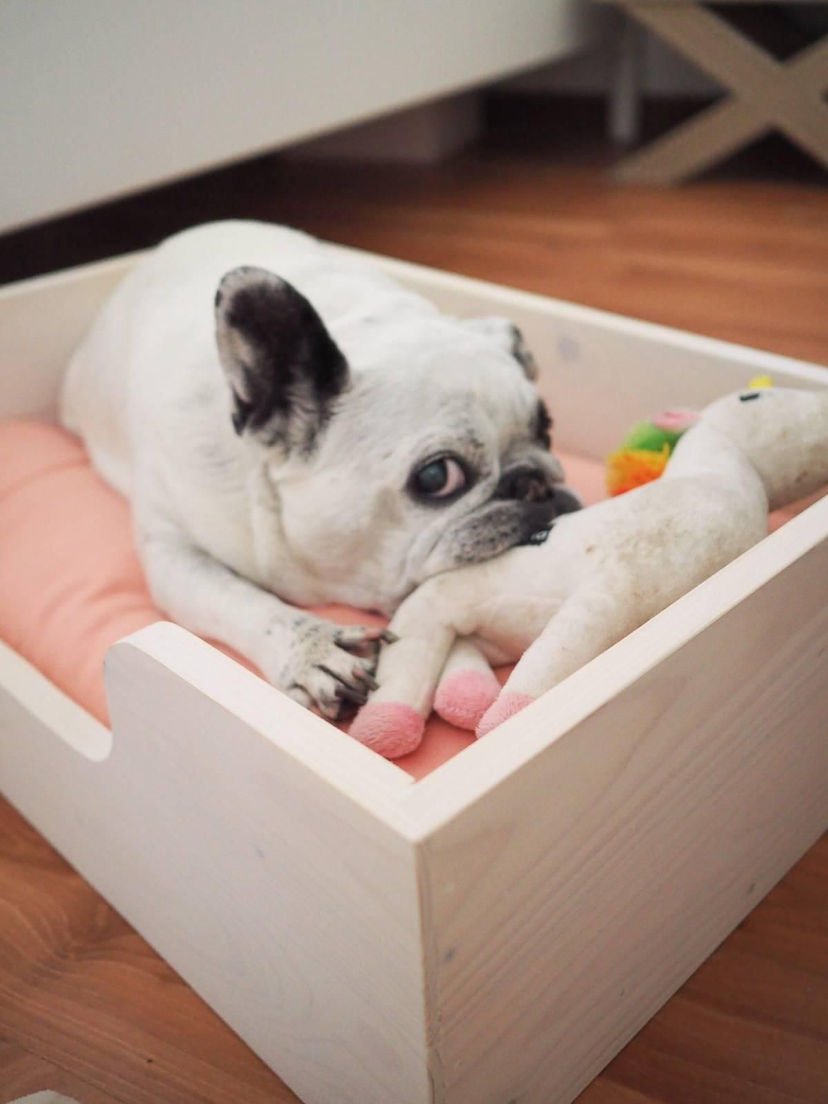 Cama para mascotas