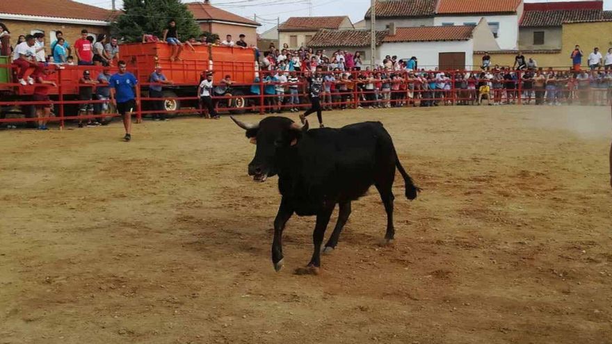 Festejo taurino en Fuentes de Ropel. | E. P. (ARCHIVO)
