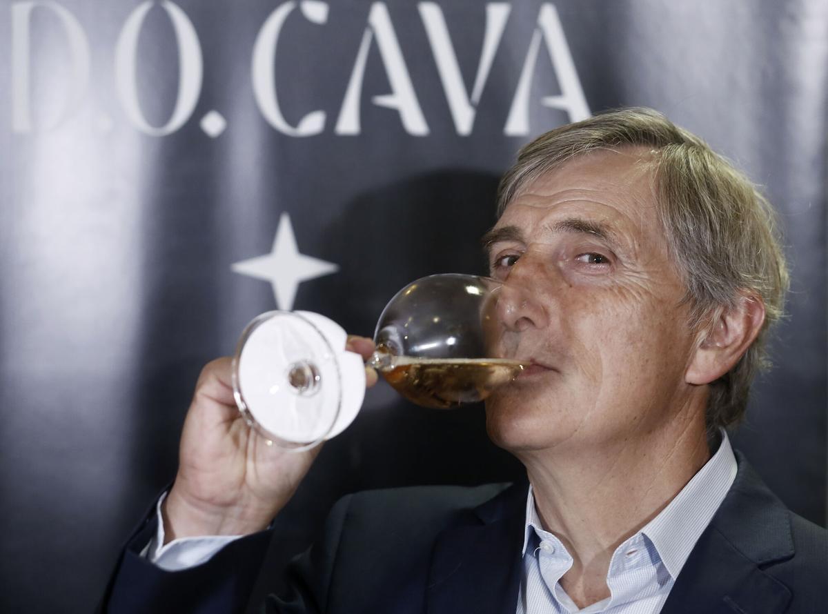 La DO Cava renova el seu consell regulador i es prepara per triar nou president