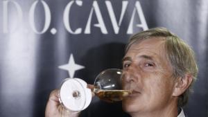 La DO Cava renova el seu consell regulador i es prepara per triar nou president