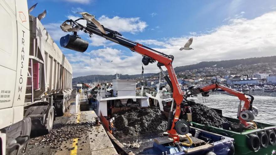 Un bateeiro en una zona de rocas para recoger mejilla.  |  // FDV