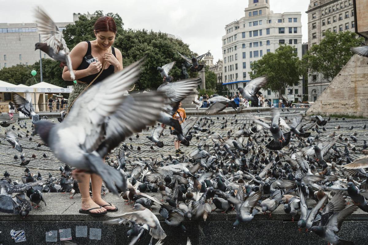 Una turista da de comer a las palomas en la plaza Catalunya, en Barcelona.