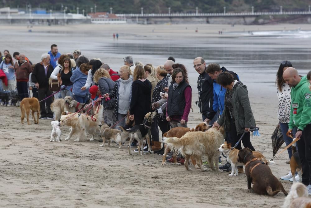 Concentración en la playa de Salinas para pedir el acceso para perros
