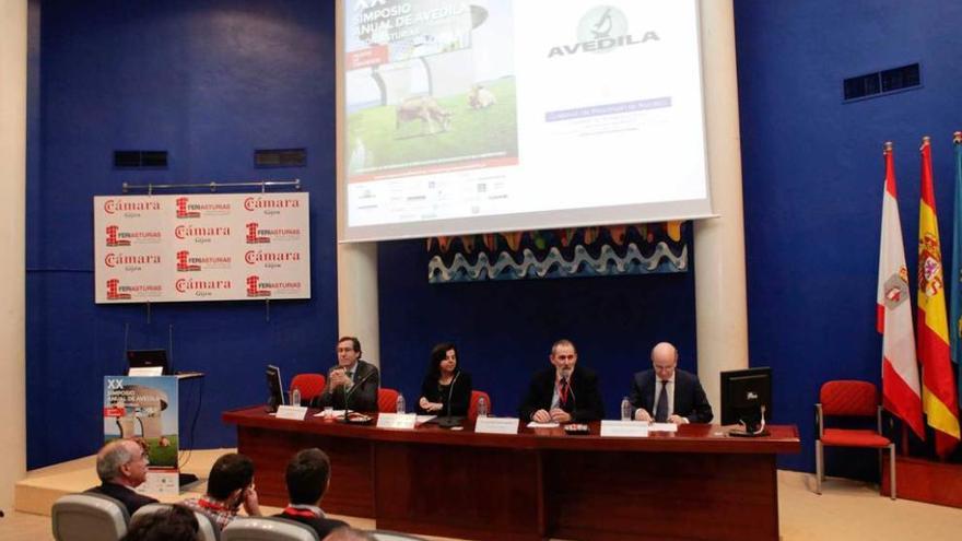 Por la izquierda, Fernando Couto, María Jesús Álvarez, Ramón Juste y Armando Solís, en la apertura.