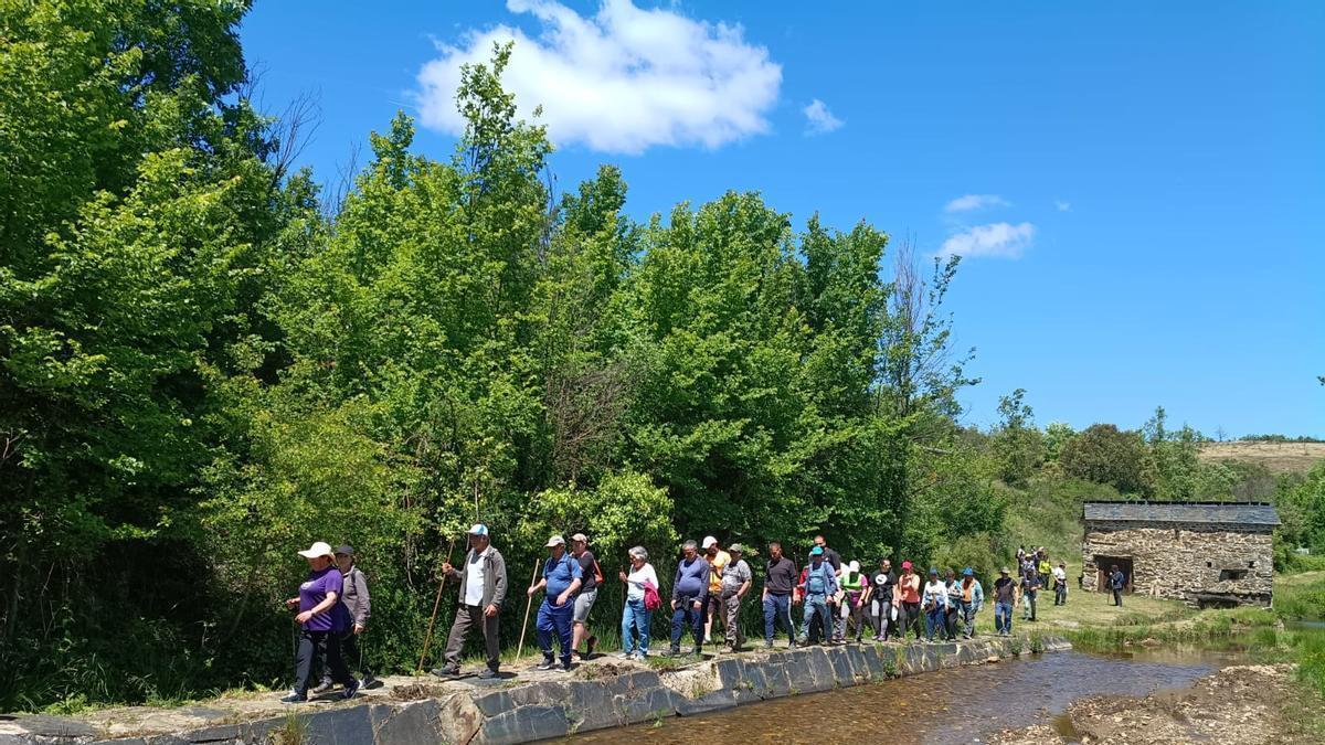 Senderismo en el Río Frío
