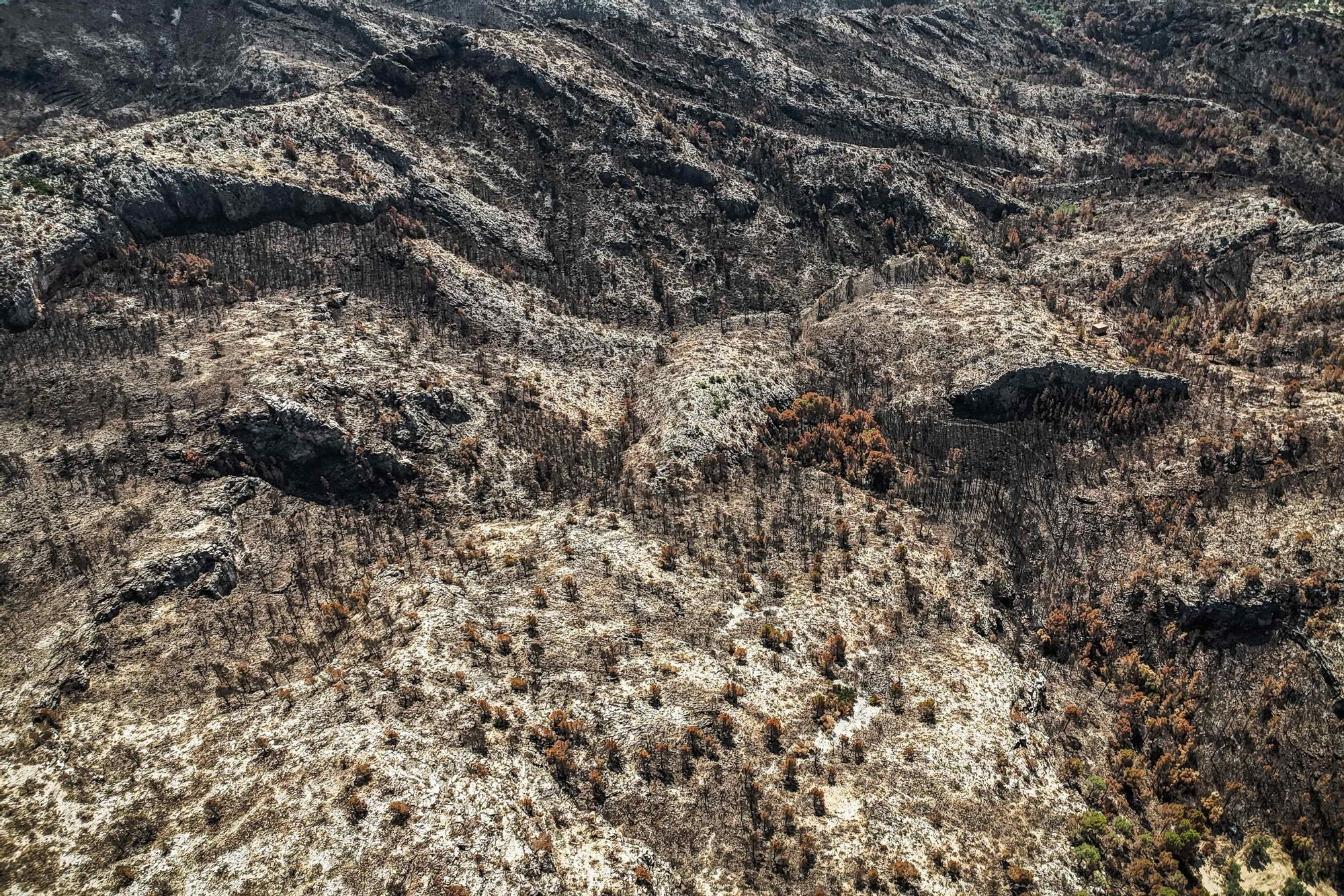 Les fotos de l'incendi de Paüls a vista de dron