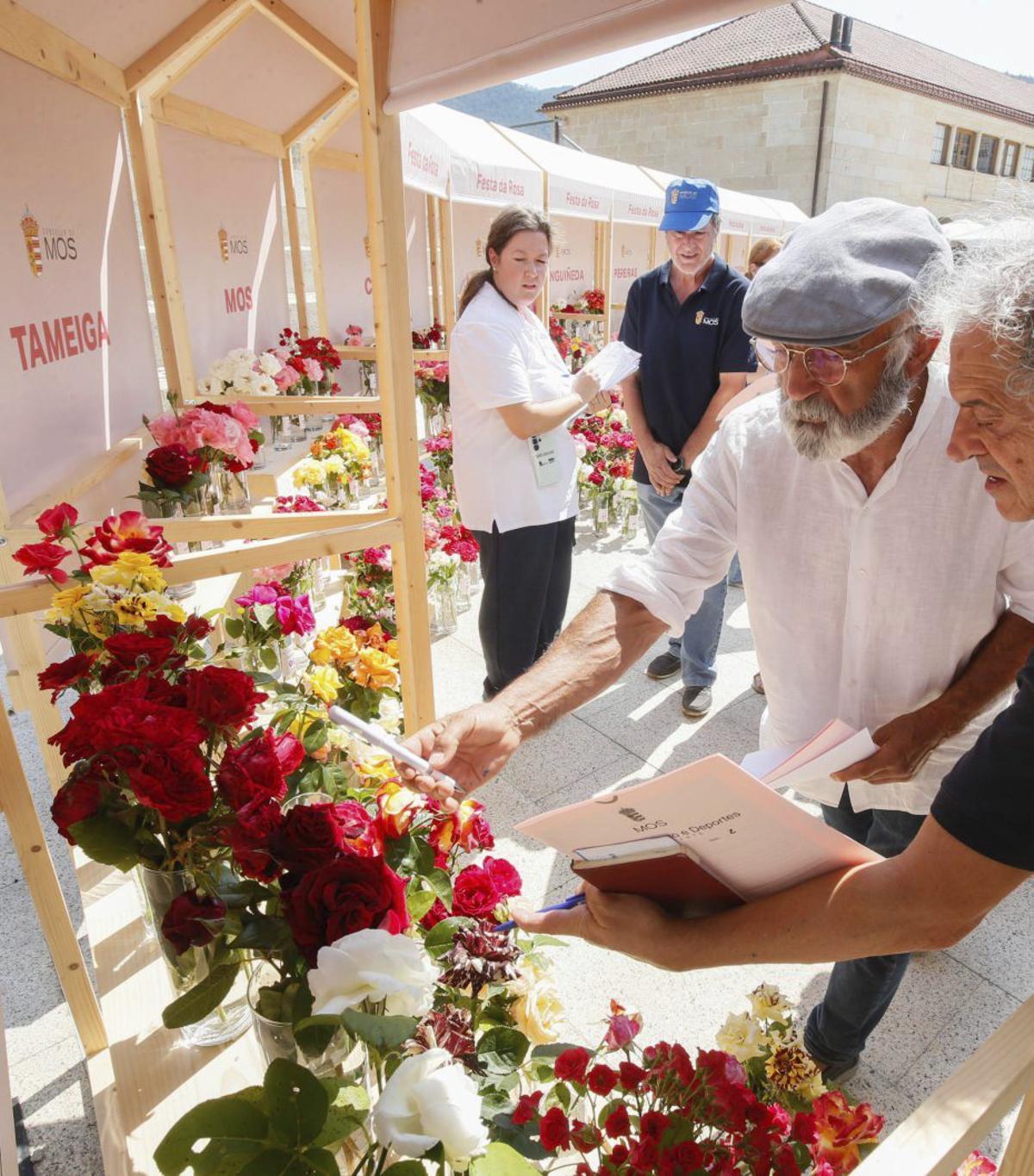 Exposición de rosas durante la fiesta. | ANXO GUITIÉRREZ